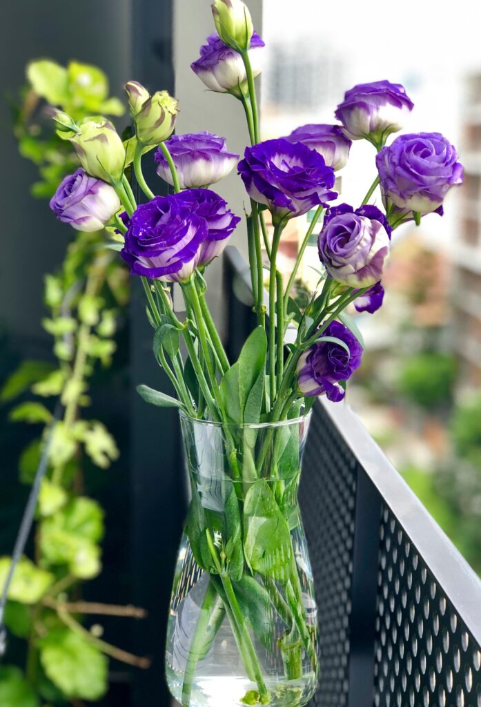 Vibrant purple lisianthus flowers bloom beautifully in a glass vase on an urban balcony.